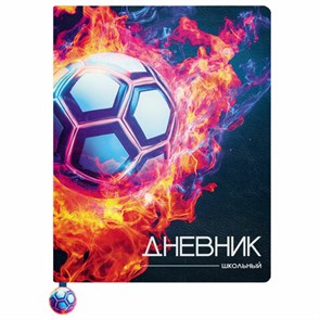 Дневник 1-11 класс 48 л., кожзам (твердая с поролоном), печать, ляссе с аппликацией, BRAUBERG, 
