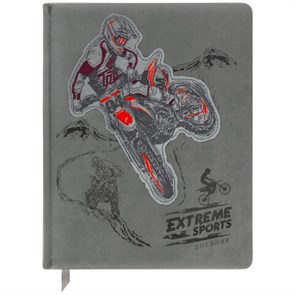 {{photo.Alt || photo.Description || 'Дневник 1-11 класс 48 л., кожзам (твердая с поролоном), тиснение, аппликация, BRAUBERG, &quot;Extreme&quot;, 106569'}}