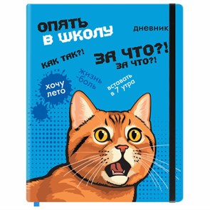 Дневник 1-11 класс 48 л., кожзам (твердая), печать, резинка, конверт, BRAUBERG, 