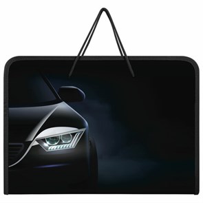 {{photo.Alt || photo.Description || 'Папка для труда на молнии с ручками ПИФАГОР А4, 1 отделение, пластик, органайзер, &quot;Car flash&quot;, 272231'}}