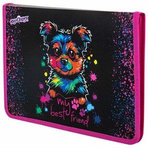 {{photo.Alt || photo.Description || 'Папка для труда на молнии ЮНЛАНДИЯ А4, 1 отделение, откидная планка, органайзер, &quot;True friend&quot;, 272221'}}