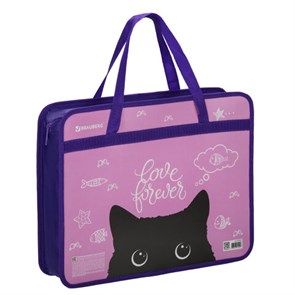 {{photo.Alt || photo.Description || 'Папка на молнии с ручками BRAUBERG А4, 1 отделение, пластик, 80 мм, &quot;Black Cat&quot;, 270122'}}