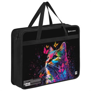 {{photo.Alt || photo.Description || 'Папка на молнии с ручками BRAUBERG А4, 1 отделение, пластик, 80 мм, &quot;Butterfly catcher&quot;, 272165'}}