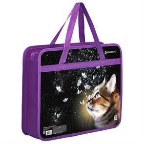 {{photo.Alt || photo.Description || 'Папка на молнии с ручками BRAUBERG А4, 1 отделение, пластик, 80 мм, &quot;Dream cat&quot;, 270868'}}