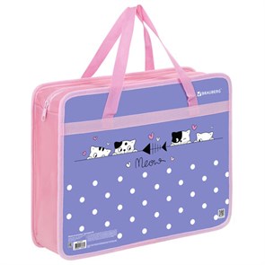 {{photo.Alt || photo.Description || 'Папка на молнии с ручками BRAUBERG А4, 1 отделение, пластик, 80 мм, &quot;Meow&quot;, 272163'}}