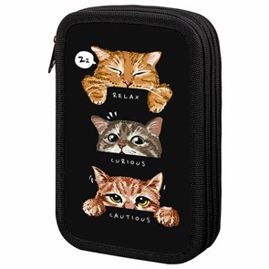 {{photo.Alt || photo.Description || 'Пенал ПИФАГОР, 3 отделения, ламинированный картон, 19х11 см, &quot;Cool trio&quot;, 273486'}}