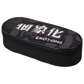 {{photo.Alt || photo.Description || 'Пенал-футляр BRAUBERG, 1 отделение, органайзер, полиэстер, 22x9x5 см, &quot;Emotions&quot;, 271588'}}