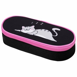 {{photo.Alt || photo.Description || 'Пенал-футляр BRAUBERG, 1 отделение, органайзер, полиэстер, 22x9х5 см, &quot;Don&#39;t wake up&quot;, 272311'}}