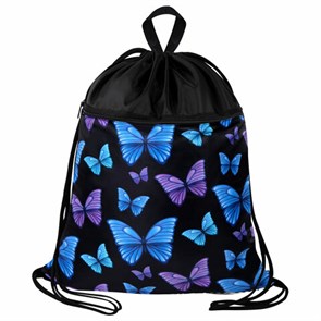 {{photo.Alt || photo.Description || 'Мешок для обуви BRAUBERG БОЛЬШОЙ, с ручкой, карман на молнии, сетка, 49х41 см, &quot;Fly aways&quot;, 272402'}}