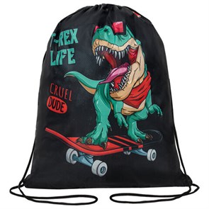 {{photo.Alt || photo.Description || 'Мешок для обуви ПИФАГОР, 1 отделение, 40х32 см, &quot;T-Rex&quot;, 271606'}}