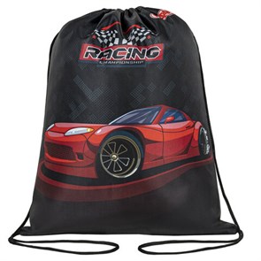 {{photo.Alt || photo.Description || 'Мешок для обуви ПИФАГОР, 1 отделение, 42х34 см, &quot;Rocket car&quot;, 271605'}}