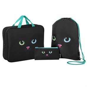 {{photo.Alt || photo.Description || 'Папка на молнии с ручками А4, мешок для обуви 42х33 см, пенал 20х10 см, &quot;Black cat&quot; НАБОР BRAUBERG, 271434'}}