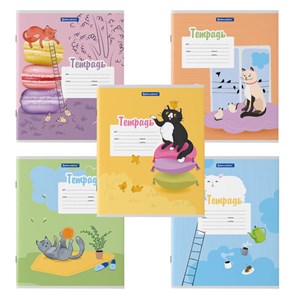 {{photo.Alt || photo.Description || 'Тетрадь 12 л. BRAUBERG, линия, обложка картон, &quot;ОЗОРНЫЕ КОТЫ&quot;, 106472'}}