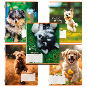 {{photo.Alt || photo.Description || 'Тетрадь 18 л. BRAUBERG клетка, обложка картон, СОБАЧКИ, 107295'}}