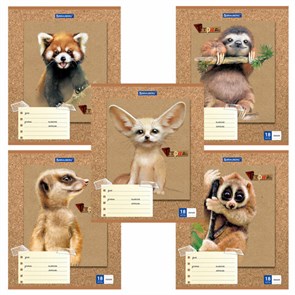 {{photo.Alt || photo.Description || 'Тетрадь 18 л. BRAUBERG линия, обложка картон, &quot;МИЛЫЕ ЗВЕРУШКИ&quot;, 403580'}}