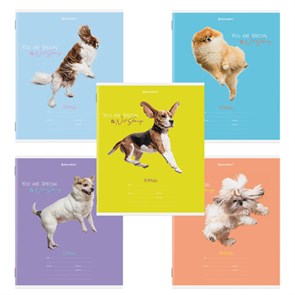 {{photo.Alt || photo.Description || 'Тетрадь 18 л. BRAUBERG линия, обложка картон, &quot;СОБАЧКИ&quot;, 106481'}}