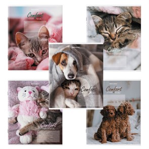 {{photo.Alt || photo.Description || 'Тетрадь 24 л. BRAUBERG клетка, обложка картон, &quot;ПИТОМЦЫ&quot;, 106485'}}