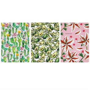 {{photo.Alt || photo.Description || 'Тетради 40 л. в линию обложка SoftTouch, НАБОР 3 шт., бежевая бумага 70 г/м2, сшивка, А5 (147х210 мм), FLORA, BRAUBERG, 403798'}}