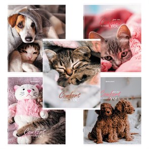 {{photo.Alt || photo.Description || 'Тетрадь А5 48 л. BRAUBERG скоба, линия, обложка картон, &quot;Питомцы&quot; (микс в спайке), 404386'}}