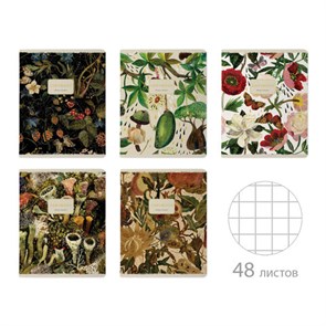 {{photo.Alt || photo.Description || 'Тетрадь А5 48 л. BRUNO VISCONTI скоба, клетка, Soft Touch, фольга, &quot;FLORA&quot; (5 видов), 7-48-1343'}}