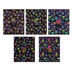 {{photo.Alt || photo.Description || 'Тетрадь А5 48 л., ПЗБМ скоба, клетка, фольга, TWIN-лак, &quot;Грибочки&quot; (микс в спайке), 23768'}}