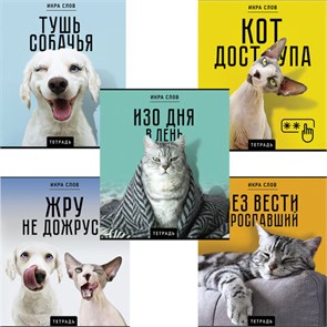 {{photo.Alt || photo.Description || 'Тетрадь А5 48 л., ПЗБМ, скоба, клетка, конгрев, TWIN-лак, &quot;Икра слов&quot;, (5 видов), 27377'}}