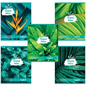 {{photo.Alt || photo.Description || 'Тетрадь А5, 48 л., BRAUBERG скоба, клетка, обложка картон, GREEN NATURE, 403033'}}