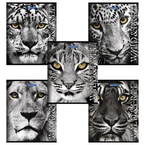 {{photo.Alt || photo.Description || 'Тетрадь А5, 48 л., BRAUBERG скоба, клетка, обложка картон, ДИКИЕ И СВОБОДНЫЕ, 401810'}}