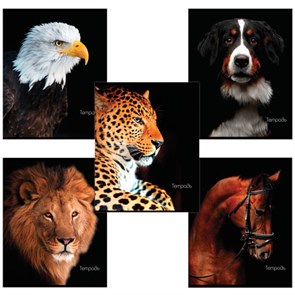 {{photo.Alt || photo.Description || 'Тетрадь А5, 48 л., BRAUBERG скоба, клетка, обложка картон, ЖИВОТНЫЕ, 403034'}}