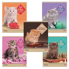 {{photo.Alt || photo.Description || 'Тетрадь А5, 48 л., HATBER, скоба, линия, обложка картон, &quot;КОТЯТА&quot; (микс в спайке), 047012, 48Т5В2'}}