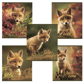 {{photo.Alt || photo.Description || 'Тетрадь А5, 48 л., ПЗБМ, скоба, клетка, конгрев, глянцевый лак, &quot;Хитрый лис&quot; (5 видов), 028061'}}