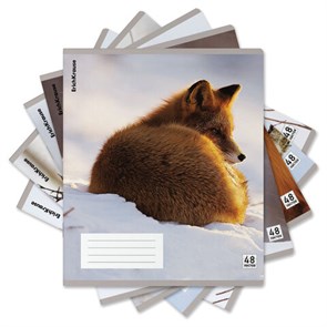 {{photo.Alt || photo.Description || 'Тетрадь обложка пластик, А5, 48 л., скоба, клетка, ERICH KRAUSE, &quot;Лисы&quot; (микс в спайке), 60693'}}