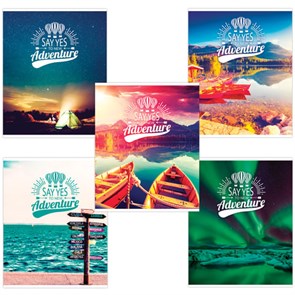 {{photo.Alt || photo.Description || 'Тетрадь А5, 96 л., BRAUBERG, скоба, клетка, обложка картон, ПРИКЛЮЧЕНИЯ, 403065'}}