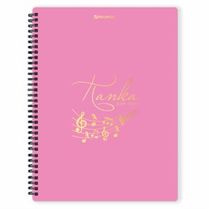 {{photo.Alt || photo.Description || 'Папка-тетрадь для нот А4, 20 вкладышей на 40 страниц, на гребне, пластик, РОЗОВАЯ, BRAUBERG, 404642'}}