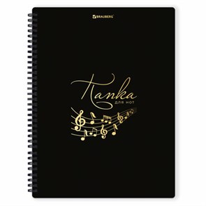 {{photo.Alt || photo.Description || 'Папка-тетрадь для нот А4, 20 вкладышей на 40 страниц, на гребне, пластик, ЧЕРНАЯ, BRAUBERG, 404643'}}