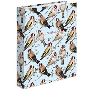 {{photo.Alt || photo.Description || 'Тетрадь на кольцах А5 (175х215 мм), 120 листов, твердый картон, клетка, BRAUBERG, Щеглы, 404079'}}