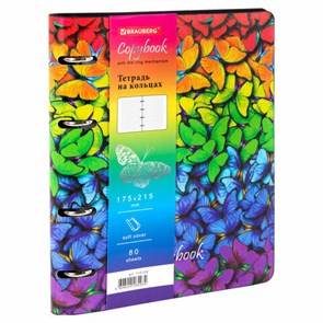 {{photo.Alt || photo.Description || 'Тетрадь на кольцах А5 (180х220 мм), 80 листов, под кожу, клетка, тиснение фольгой, BRAUBERG VISTA, Butterflies,112128'}}