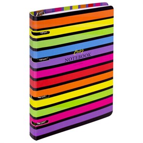 {{photo.Alt || photo.Description || 'Тетрадь на кольцах А5 160х212 мм, 120 листов, картон, матовая ламинация, клетка, BRAUBERG, &quot;Colors&quot;, 404727'}}