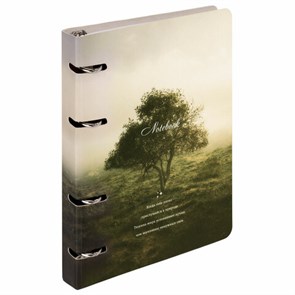 {{photo.Alt || photo.Description || 'Тетрадь на кольцах А5 160х212 мм, 120 листов, картон, матовая ламинация, клетка, BRAUBERG, &quot;Nature&quot;, 404728'}}