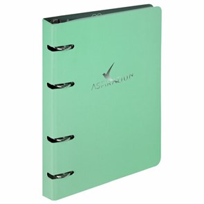 {{photo.Alt || photo.Description || 'Тетрадь на кольцах А5 160х212 мм, 120 листов, картон, фольга, клетка, BRAUBERG, &quot;Pastel&quot;, 404734'}}