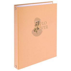 {{photo.Alt || photo.Description || 'Тетрадь на кольцах А5 165х215 мм, 120 листов, твердый картон, клетка, BRAUBERG, &quot;Pastel Flower&quot;, 404710'}}