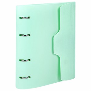 {{photo.Alt || photo.Description || 'Тетрадь на кольцах А5 175х220 мм, 120 л., пластик, на липучке, с разделителями, BRAUBERG, Мятный, 404638'}}