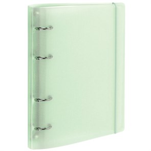 {{photo.Alt || photo.Description || 'Тетрадь на кольцах А5 175х220 мм, 120 л., пластик, с резинкой и разделителями, BRAUBERG, Зеленый, 404632'}}