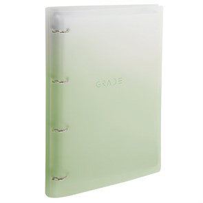 {{photo.Alt || photo.Description || 'Тетрадь на кольцах БОЛЬШАЯ 305х235 мм А4, 120 л., пластик, с разделителями, BRAUBERG, Зеленый, 404625'}}