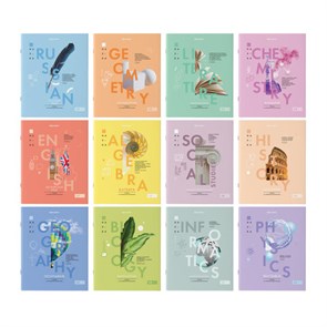 {{photo.Alt || photo.Description || 'Тетради предметные со справочным материалом, КОМПЛЕКТ 12 ПРЕДМЕТОВ, 48 л., обложка картон, BRAUBERG, &quot;VISION&quot;, 404323'}}