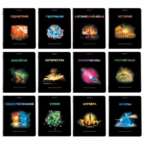 {{photo.Alt || photo.Description || 'Тетради предметные, КОМПЛЕКТ 12 ПРЕДМЕТОВ, 48 л., глянцевый УФ-лак, BRAUBERG, &quot;SHADE&quot;, 404324'}}