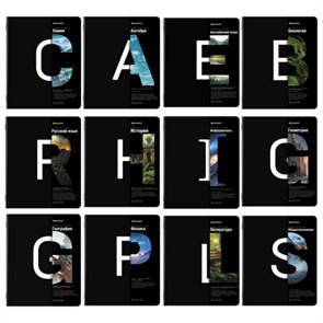 {{photo.Alt || photo.Description || 'Тетради предметные, КОМПЛЕКТ 12 ПРЕДМЕТОВ, 48 л., матовая ламинация, BRAUBERG, &quot;INTELLIGENCE&quot;, 404845'}}