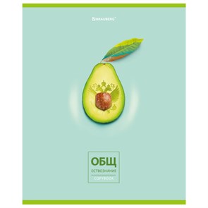 {{photo.Alt || photo.Description || 'Тетрадь предметная &quot;AVOCADO&quot; 48 л., глянцевый лак, ОБЩЕСТВОЗНАНИЕ, клетка, BRAUBERG, 404274'}}