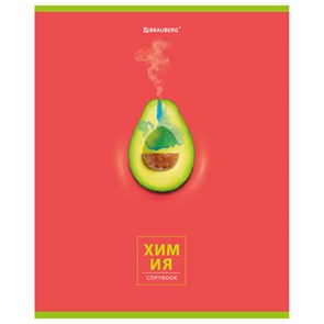 {{photo.Alt || photo.Description || 'Тетрадь предметная &quot;AVOCADO&quot; 48 л., глянцевый лак, ХИМИЯ, клетка, BRAUBERG, 404284'}}