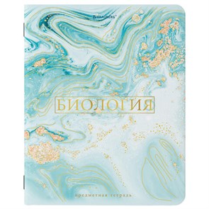 {{photo.Alt || photo.Description || 'Тетрадь предметная &quot;PASTEL&quot; 48 л., SoftTouch, фольга, БИОЛОГИЯ, клетка, BRAUBERG, 404312'}}